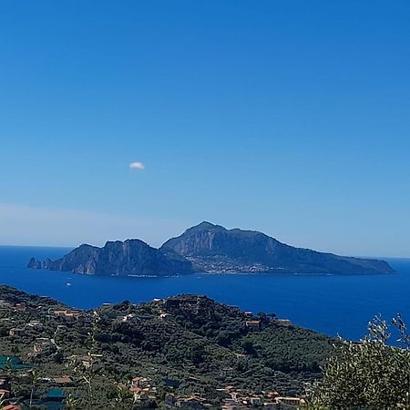 Al Calar Del Sole Villa Massa Lubrense Bagian luar foto